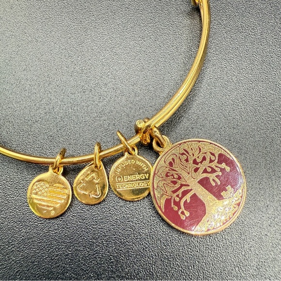 Alex and Ani Tree of Life 2015 Charm Bangle Bracelet - Picture 10 of 10